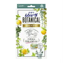 かおりムシューダ BOTANICAL 1年間有効 防虫剤 引き出し・衣装ケース用 24個入 ペパーミント&ベルガモット 【10個セット】 (4901070303342-10)