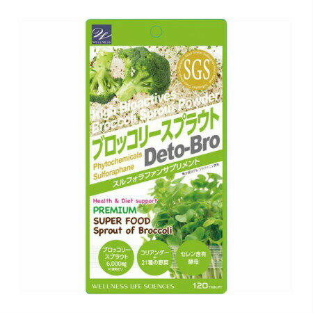【2個セット】ウェルネスライフサ