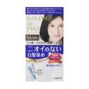 ダリヤ サロン ド プロ 無香料ヘアカラー 早染めクリーム(白髪用)5A 深みのあるアッシュブラウン(4904651179886)