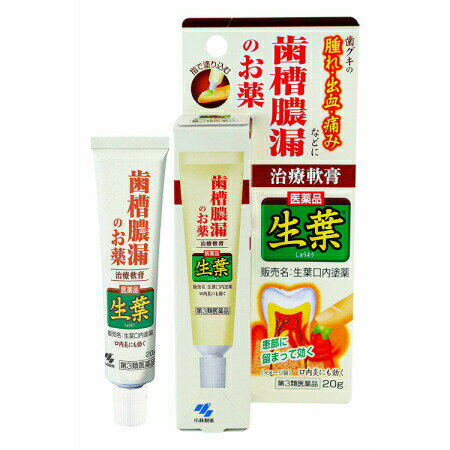 【第3類医薬品】 生葉口内塗薬 20g (4987072074244)【メール便発送】