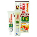 【第3類医薬品】 生葉口内塗薬 20g 【5個セット】 (4987072074244-5)【メール便発送】