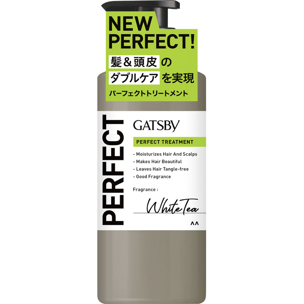 【本体2種セット】マンダム ギャツビー GATSBY パーフェクトシャンプー・トリートメント 各380g (4902806118780-803)