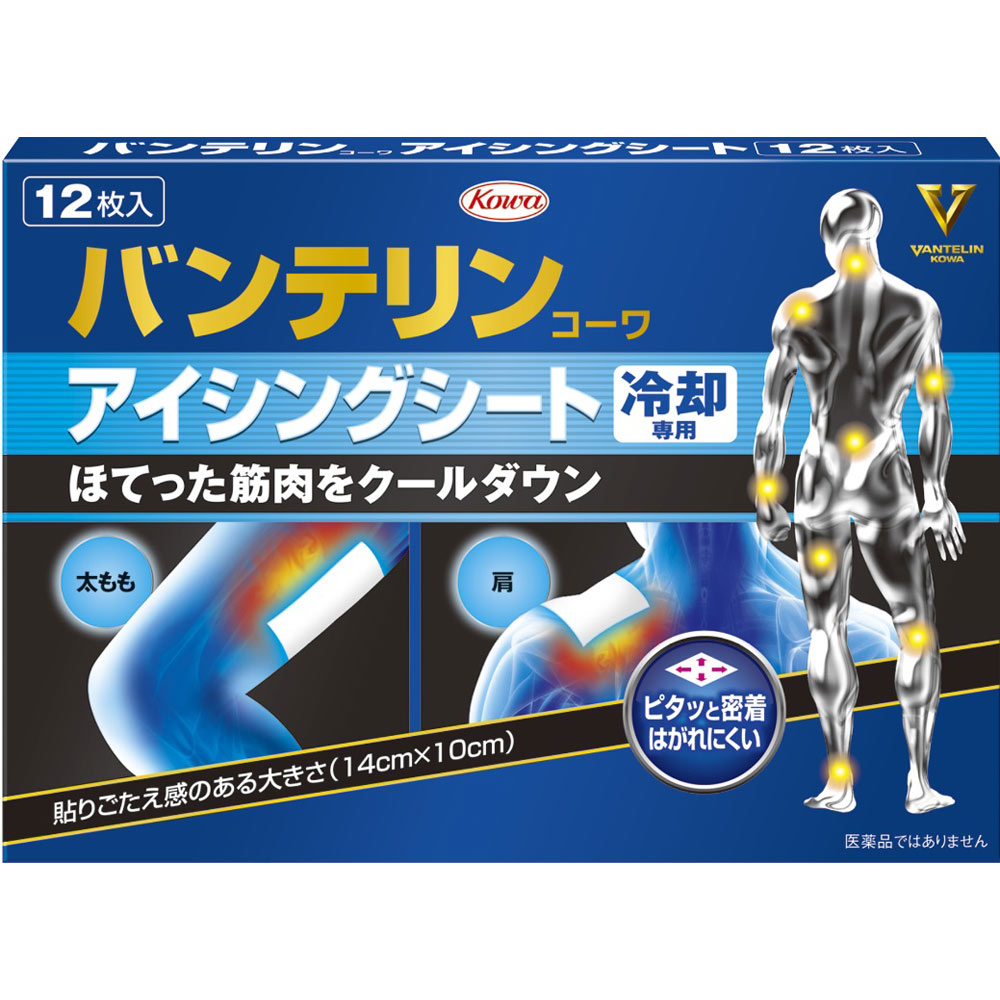 【2個セット】バンテリンコーワアイシングシート 12枚【メール便発送】