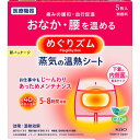 【2個セット】花王 めぐりズム 蒸気の温熱シート 下着の内側面に貼るタイプ 5枚 (4901301245496-2)【定形外郵便発送】