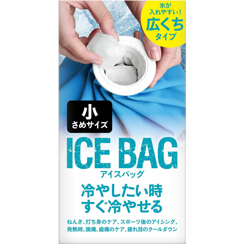 アイスバッグ 小さめサイズ 1個入 【定形外郵便発送】
