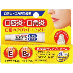 【第3類医薬品】ジャパンメディック フィクテアLip 10g (4956622110787)【メール便発送】