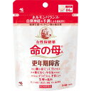 【第2類医薬品】【2個セット】小林製薬 女性保健薬 命の母A 84錠 (4987072020029-2)【メール便発送】