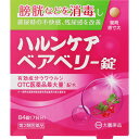 【第2類医薬品】【2個セット】大鵬薬品工業 ハルンケア ベアベリー錠 84錠 (4987117613209-2)【メール便発送】