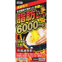 北日本製薬 防風通聖散料エキス錠「至聖」450錠 (4987416034538-2)