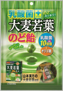 中部薬品工業 乳酸菌プラス大麦若葉のど飴(120g)【メール便発送】