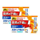 【第2類医薬品】 【2個セット】ハラトン下痢止めSP錠 12錠 (4987360200690-2)【メール便発送】