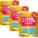ナノ乳酸菌×ビフィズス菌のちから 2gx30包 【3箱セット】 (4987656132698-3)