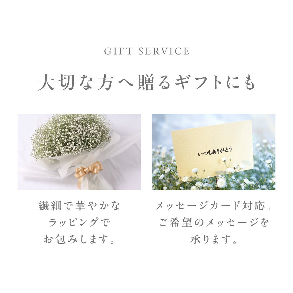 花束 カスミソウ ブーケ Lサイズ 記念日 ギフト 【送料無料】
