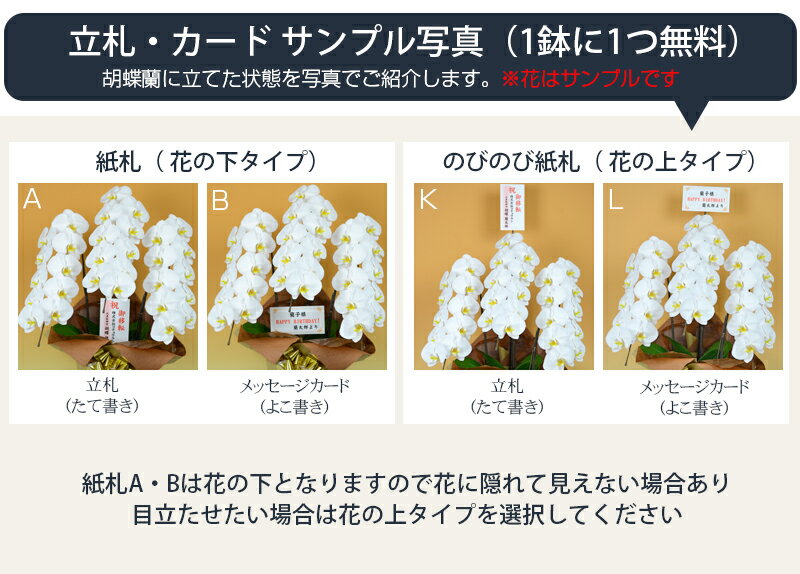 ��������ɥ������å� ��ĳ�� ����5��Ω��45�ذʾ塡��ɸ�д�Ѿ���