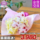 花束 胡蝶蘭 カララ(ミニミディ)10本束 送料無料 花束 ブーケ 誕生日 プレゼント 父の日 切花 生花 ウエディング ご自宅 ヘッドドレス 髪飾り アレンジ...