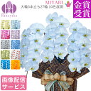 彩り豊富なカラー胡蝶蘭 10色展開 MIYABI 3本立ち 27輪以上 青い胡蝶蘭 青 緑 オレンジ 黄色 紫 ブルー パープル 胡蝶蘭 カラー胡蝶蘭 彩 豊富