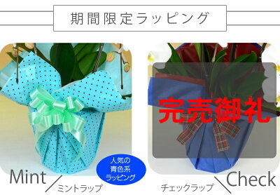 限定ラッピング