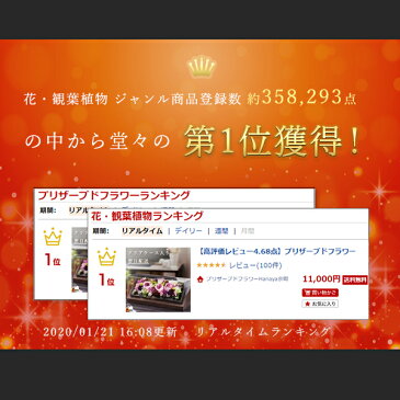 プリザーブドフラワー ギフト 還暦 プレゼント 開店祝い 退職祝い 開業祝い 壁掛け 内祝い ギフト 誕生日 祝電 クリアケース付き 熨斗 レクタングル ミニ 名入れ プレゼント ブリザードフラワー ブリザーブドフラワー