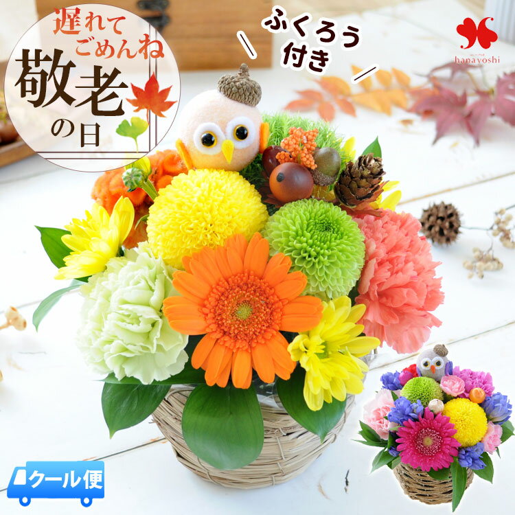 [冷蔵便] 遅れてごめんね 敬老の日 花 アレンジメント ふくろう 生花アレンジ プレゼント ギフト ...