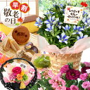 早割 敬老の日 花 鉢植え お菓子 プレゼント ギフト 選べる25通り 花とスイーツ セット フラワーギフト グルメ 敬老 鉢花 花鉢 甘味 お花 敬老の日ギフ...