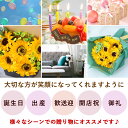 hanayoshi:10003503のサンプル画像2