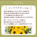 hanayoshi:10003503のサンプル画像3