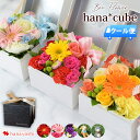 【19周年★全商品P5倍】[冷蔵便]でお届け ボックスフラワー 生花 hana cube 花 誕生日 プレゼント 女性 女友達 母 妻 お誕生日 お花 フラワーギフト お祝い 結婚祝い 結婚記念日 フラワーボックス 定年 上司 父 昇進祝い 退院祝い 花 ムーンダスト お母さん おかあさん 義母