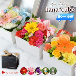 ボックスフラワー 【MS×エントリー5倍】[冷蔵便]でお届け ボックスフラワー 生花 hana cube 花 誕生日 プレゼント 女性 女友達 母 妻 お誕生日 お花 フラワーギフト お祝い 結婚祝い 結婚記念日 フラワーボックス 男性 上司 父 昇進祝い 退院祝い 花 ムーンダスト お母さん おかあさん 義母