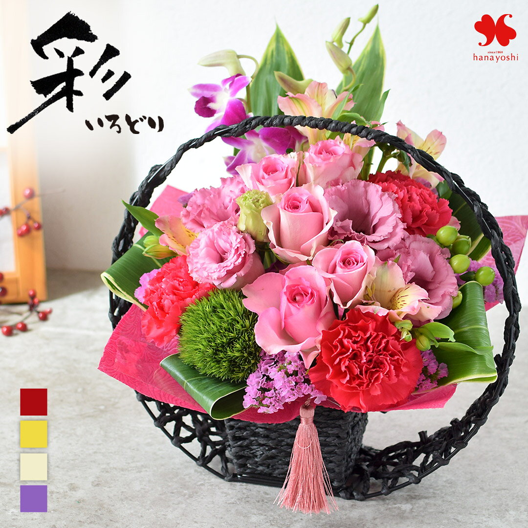 楽天市場】和風 大 カゴ（花・観葉植物｜花・ガーデン・DIY）の通販