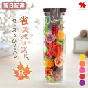 翌日配達 プリザーブドフラワー ボトルフラワー バラ プレゼント 女性 花 お花 誕生日 お誕生日 結婚祝い 結婚記念日 新築祝い 開店祝い 引っ越し祝い デスク スペパ ブリザードフラワー ギフト 枯れない おしゃれ ガラス 女友達 妻 母 退職祝い 送別 産休 出産祝い 敬老の日