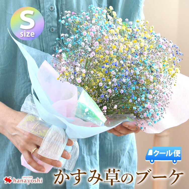 フラワーマーケット花由 花束（3000円程度） [冷蔵便]でお届け あす楽12時 かすみ草のブーケ S カスミソウ 花束 カラフル 花 誕生日 プレゼント 女性 母 女友達 祖母 フラワーギフト 生花 お誕生日 お花 ギフト 結婚祝い 結婚記念日 発表会 先生 20代 30代 40代 50代 送料無料 母の日 お母さん おかあさん 義母