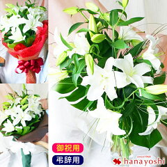 https://thumbnail.image.rakuten.co.jp/@0_mall/hanayoshi/cabinet/bouquet/rb0701x700.jpg