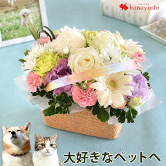 https://thumbnail.image.rakuten.co.jp/@0_mall/hanayoshi/cabinet/choji/kia059_23mn.jpg