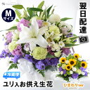 楽天市場人気商品