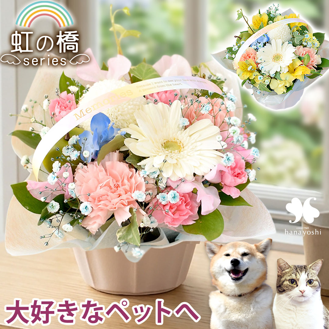 翌日配達 お供え 花 ペット用 お悔み花 お悔やみ ペットに贈る お供え生花アレンジメント 花束 そのままブーケ 選べる「虹の橋シリーズ」 ペット 虹の橋 ペット供養 仏花 ギフト 生花 アレンジメント お供え花 生花 供花 命日 犬 猫 一周忌 花