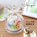 翌日配達 14時〆 プリザーブドフラワー 天使のガラスドーム アンジュ お供え 仏花 ガラスドーム 仏壇 ミニ 枯れない 花 アレンジ お悔やみ フラワーアレンジ 法事 お供え物 供花 四十九日 ペット 一周忌 三回忌 ギフト ブリザード ドーム