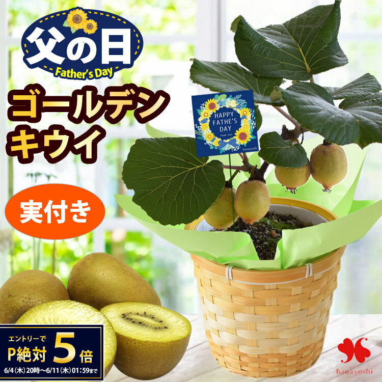 mskキウイつる 楽天市場】キウイ つる（花・観葉植物｜花・ガーデン・DIY）の通販