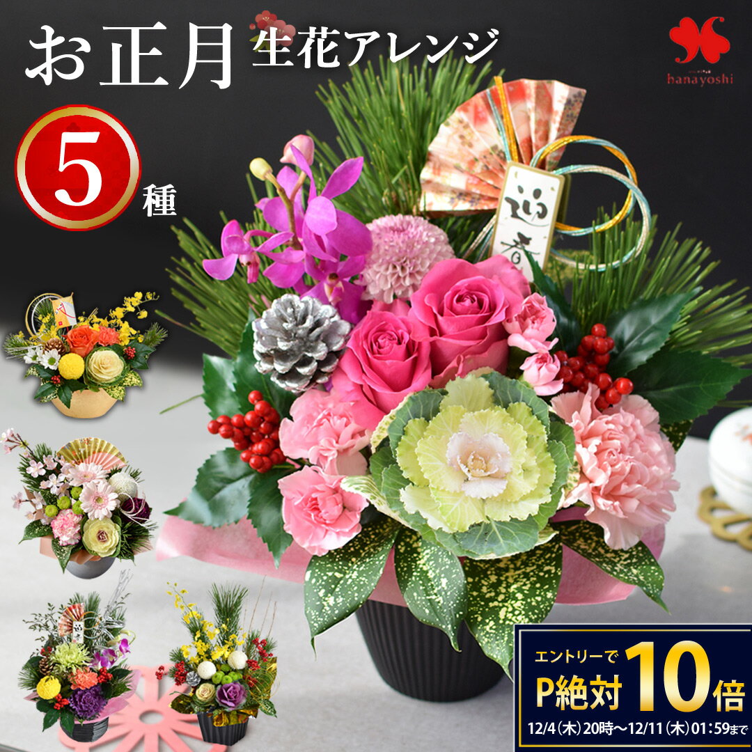 【12/4 20時～★楽天SS×P10倍】正月飾り 正月 花 アレンジメント 5種 お正月 アレンジ 花由 生花 お正月飾り 玄関 玄関飾り 花飾り モダン おしゃれ 正月花 生け花 お歳暮 お年賀 ギフト 迎春 フラワーアレンジメント プレゼント 自宅用 会社 送料無料 2026 午年