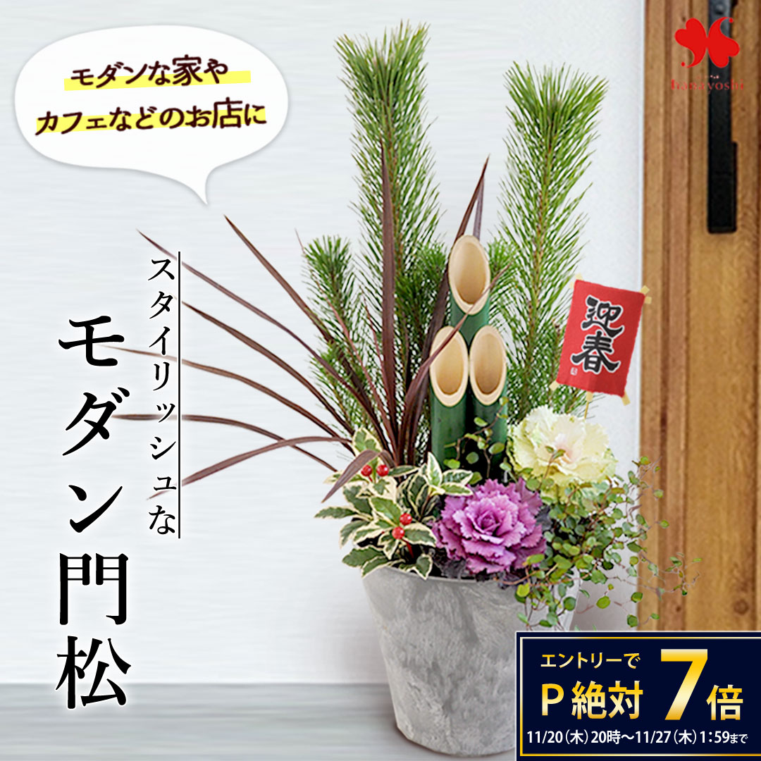正月飾り 門松 お正月 スタイリッシュなモダン門松 数量限定 寄せ植え 創作門松 正月 玄関 おしゃれ モダン お正月飾り お年賀 お歳暮 ギフト 花 お正月飾り 玄関飾り 迎春飾り 新年 お店 ショップ マンション 送料無料 2026 花由 hanayoshi