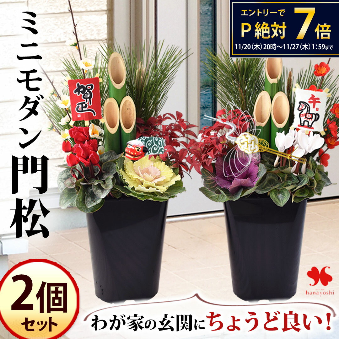 門松 一対 のミニモダン門松 2個セット 華やか 寄せ植え仕立て 玄関 寄せ植え 正月 花 お正月 モダン 送料無料 迎春 おしゃれ 松 竹 南天 シクラメン 葉牡丹 正月飾り お正月飾り お年賀 お歳暮 ギフト フラワー 玄関飾り 玄関ドア 生花 花飾り 和風 2026 ミニ 高さ45cm