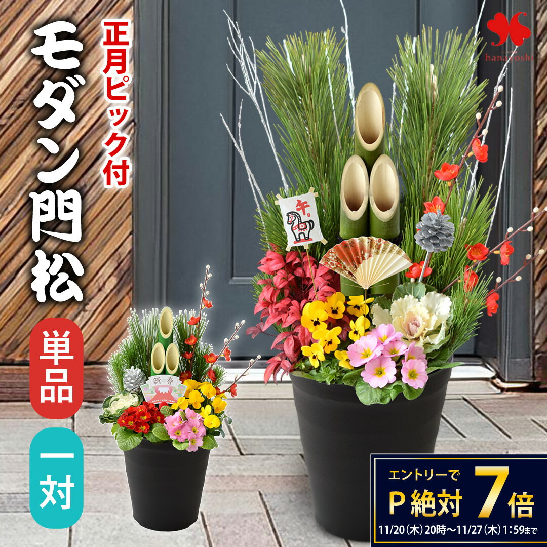 数量限定 正月 門松 玄関 新年が華やぐ 「モダン門松」 手植え 選べる 70cm 55cm 正月飾り お正月飾り 寄せ植え 仕立て 正月花 お正月 お正月後は寄せ植えに変身 干支 凧ピック付 玄関用 迎春 モダン 縁起物 お年賀 ギフト 花飾り おしゃれ 午年 マンション 松 2026 一対 も