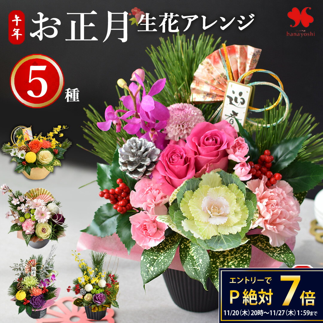 正月飾り 正月 花 アレンジメント 5種 お正月 アレンジ 花由 生花 お正月飾り 玄関 玄関飾り 花飾り モダン おしゃれ 正月花 生け花 お歳暮 お年賀 ギフト 迎春 フラワーアレンジメント プレゼント 自宅用 会社 送料無料 2026 午年