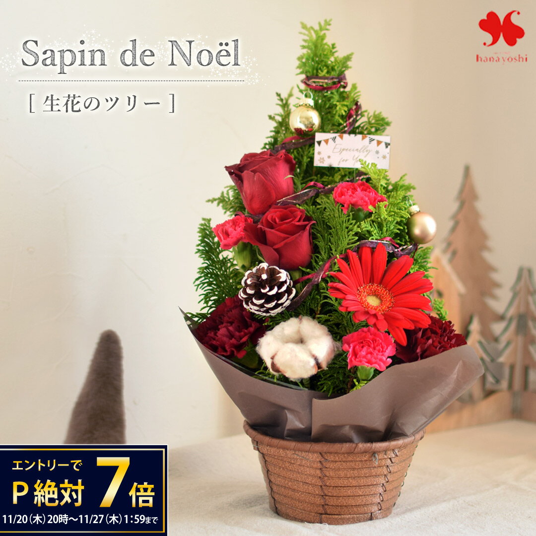 冬限定 お花のツリー サパン・ド・ノエル 冬の花贈り 送料無料 クリスマス クリスマスツリー バラ カー..