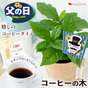 父の日 プレゼント 花 2024 送料無料コーヒータイム コーヒーの木 ミニ観葉植物 ＆徳島ブラジルコーヒーさんのドリップコーヒーのセット父の日ギフト コーヒー お父さん 父 義父 ドリップバッグ おしゃれ 観葉植物 インテリア ミニ