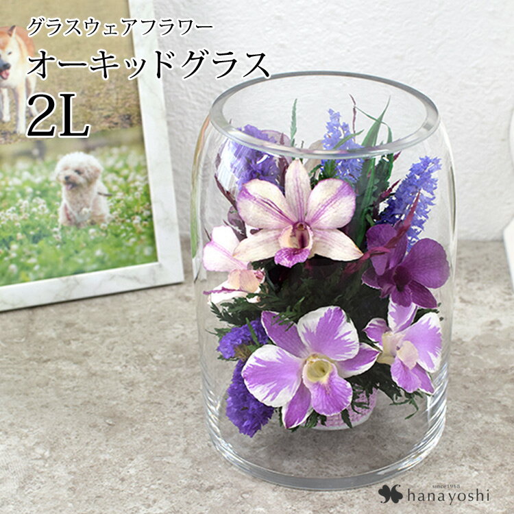 楽天市場】ガラス(ドライフラワー|花・観葉植物):花 楽天市場】ガラス(ドライフラワー|花・観葉植物):花