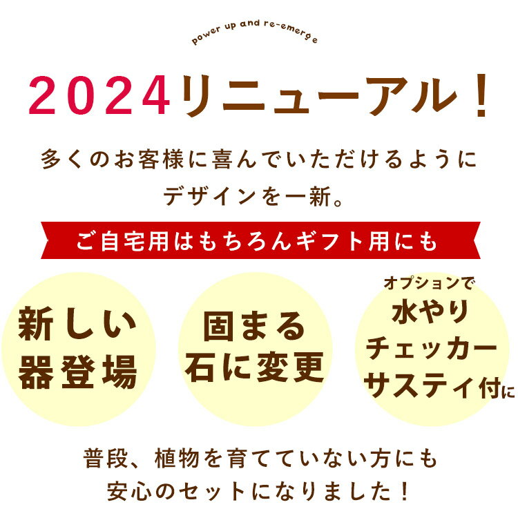 グリーンも鉢も選べる ガジュマル サンスベリア パキラ モンステラ おしゃれ 鉢 水...