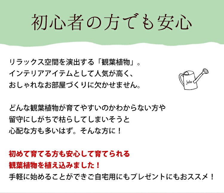 ���꡼���ȭ�����٤� ������ޥ� ���󥹥٥ꥢ �ѥ��� ��󥹥ƥ� ������� ȭ ��ʬ�� �����ƥ��� ���տ�ʪx�� ����ƥꥢ ���꡼�� ������ޥ���� ���� ������ �ץ쥼��� ���ե� ���� ���� ͧ�� ˡ�� ���۽ˤ� ���ñۤ��ˤ� �࿦�ˤ� ��Ź�ˤ� ����� �����