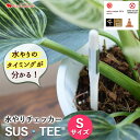 ※サスティー Sのみの購入はできません※【お花にプラスワン】水やりチェッカー サスティー S 1本 *送料はお花に準ず。当店から後ほどメールでお知らせ ※お花と...