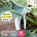 ※サスティー Mのみの購入はできません※【お花にプラスワン】水やりチェッカー サスティー M 1本 *送料はお花に準ず。当店から後ほどメールでお知らせ ※お花と...