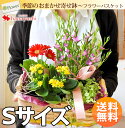 【あす楽15時まで受付中】 送料無料 季節のおまかせ花鉢とグリーンの寄せ入れ Sサイズ フラワーバスケット 花 誕生日 フラワー ギフト 鉢花 プレゼント 母 女性 おばあちゃん お中元 花 開店祝い 鉢植え ギフト お祝い ガーデニング 長寿祝い【画像配信】